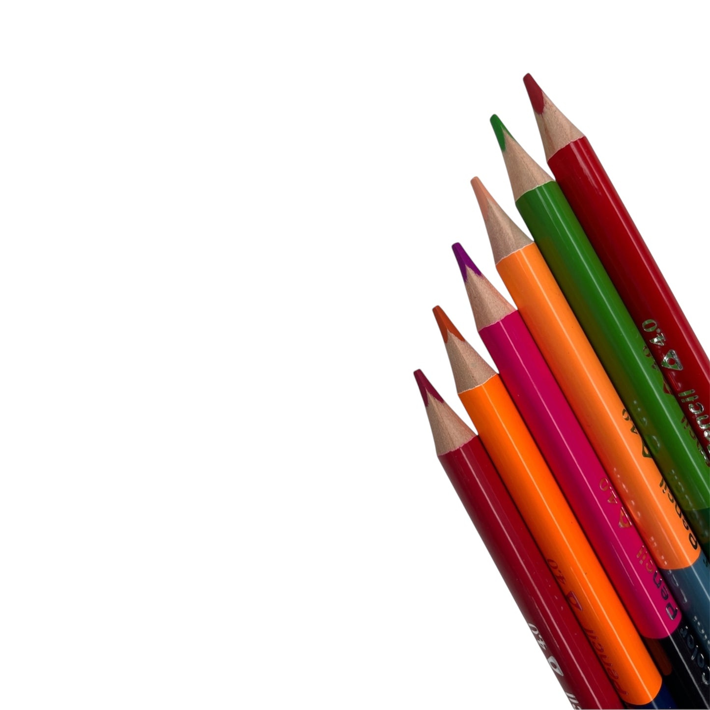 Professional Jumbo Duo Colored Pencils Set (24 Colors / 12-Piece Pack) 221033