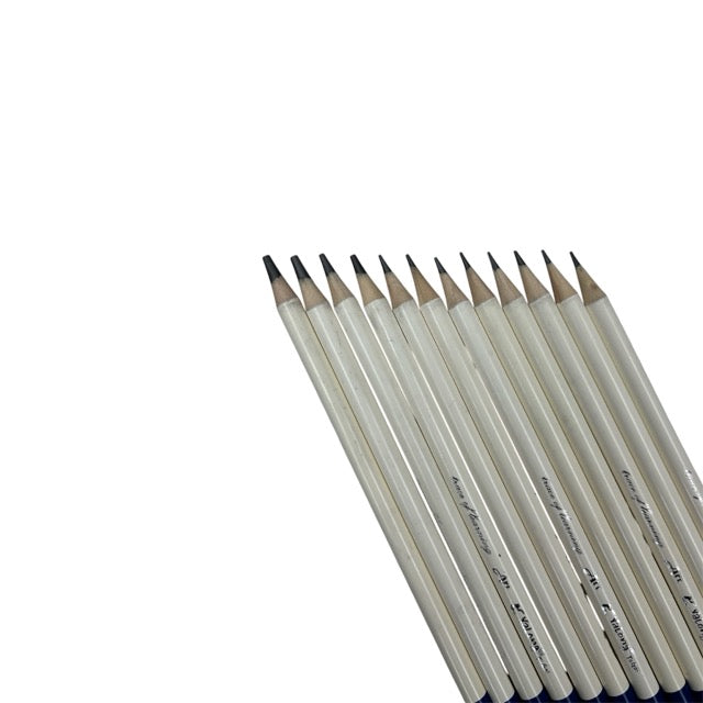 Professional Graphite Sketching Pencils Set (12-Piece Pack) 231331