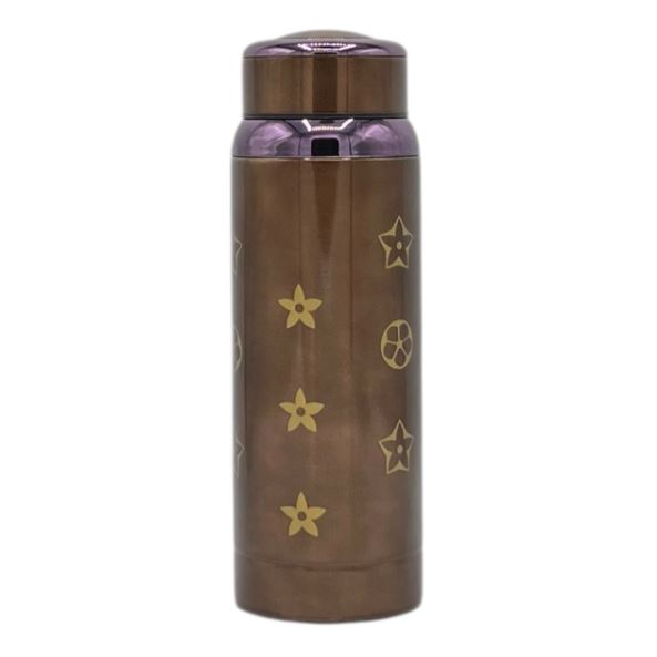 Metallic Bronze Vacuum Insulated Water Bottle - ZH-800